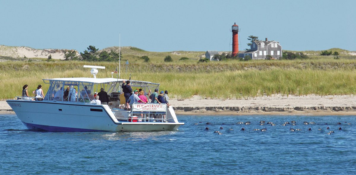 Monomy Island Excursions